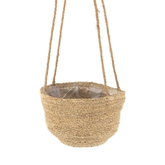 Macetero alga para colgar