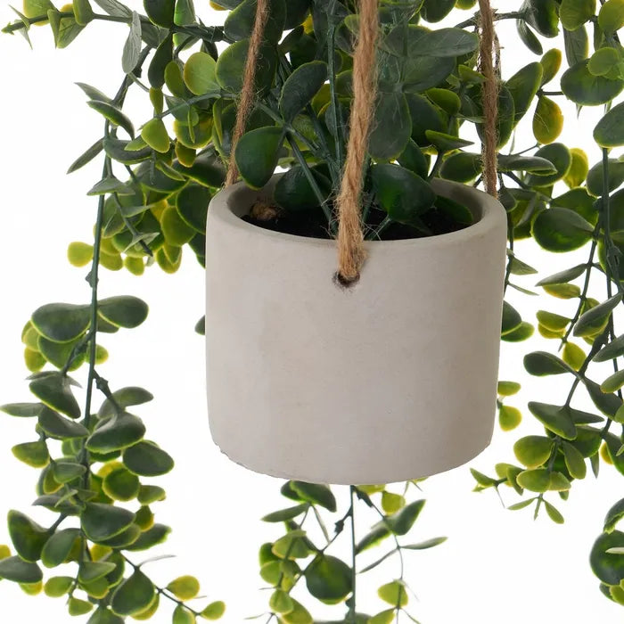 Planta helecho colgante pe 9 x 9 x 50 cm