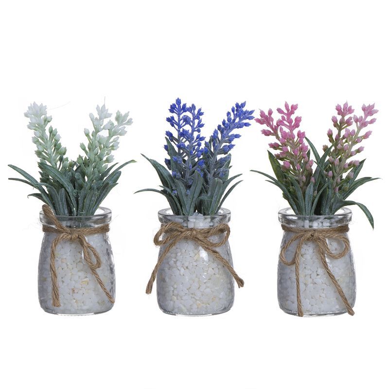 Lavanda maceta cristal 3m